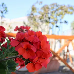 Oltremare , Scoglitti Italia